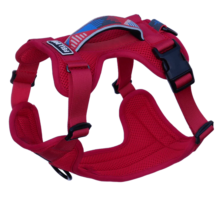 Fell Dog Helvellyn Harness
