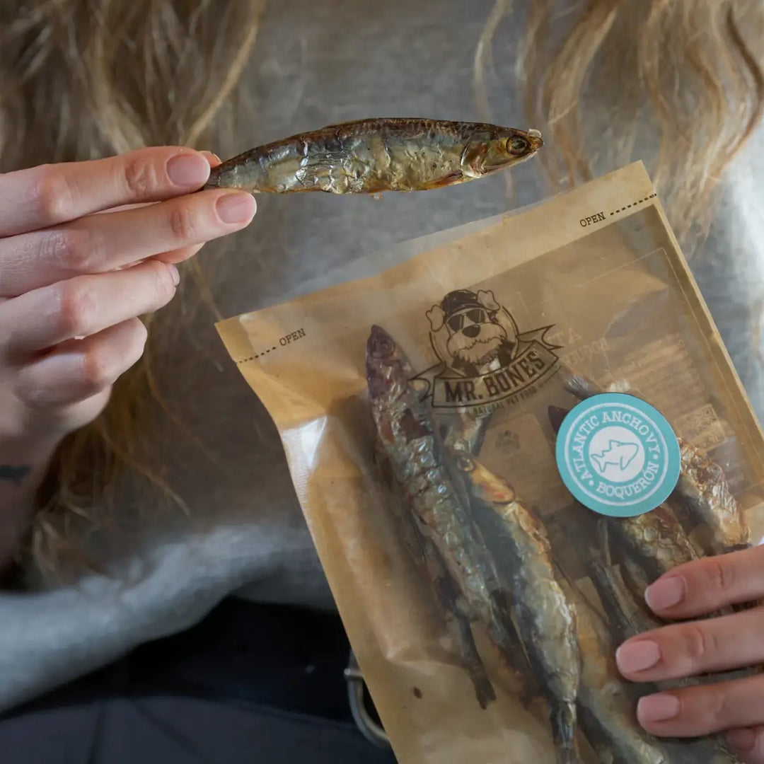 Mr Bones Atlantic Anchovies 50g