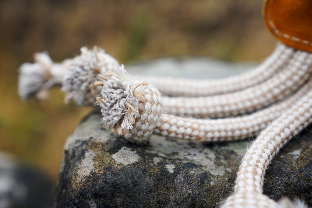 Karen the Squid Shaped Eco Dog Toy