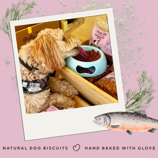 Betty Miller Grain-Free Salmon & Dill Mini-Paws 400g