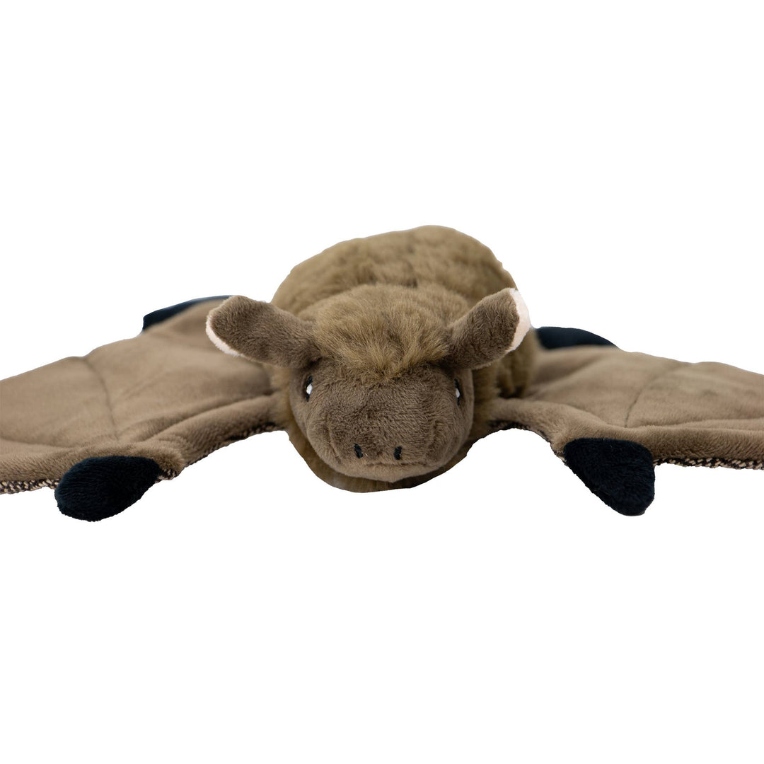 Barnaby Bat
