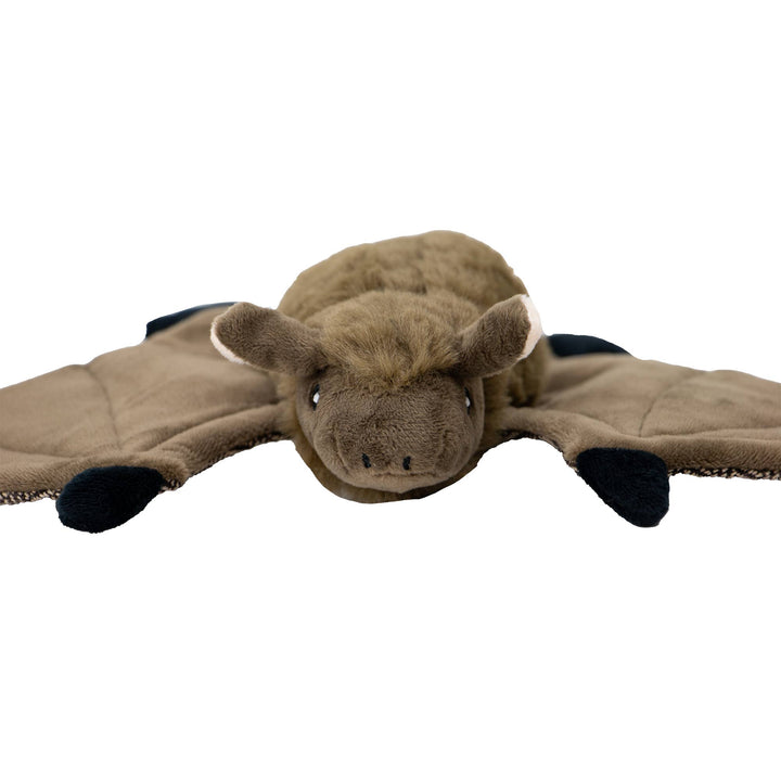 Barnaby Bat