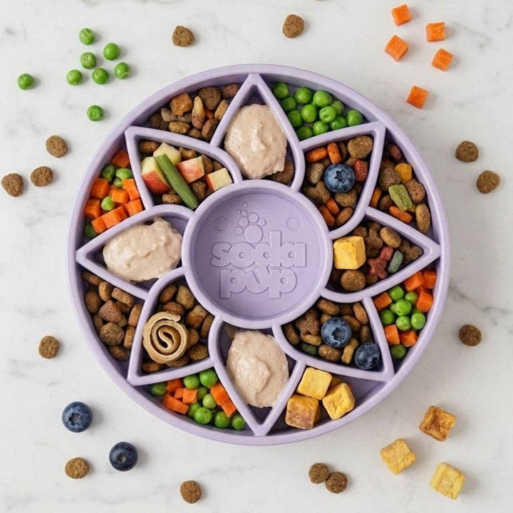 SodaPup Sunflower Softie eTray Slow Feeder Dog Bowl