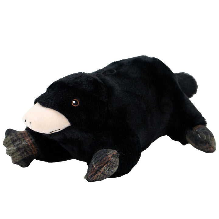 Montgomery Mole
