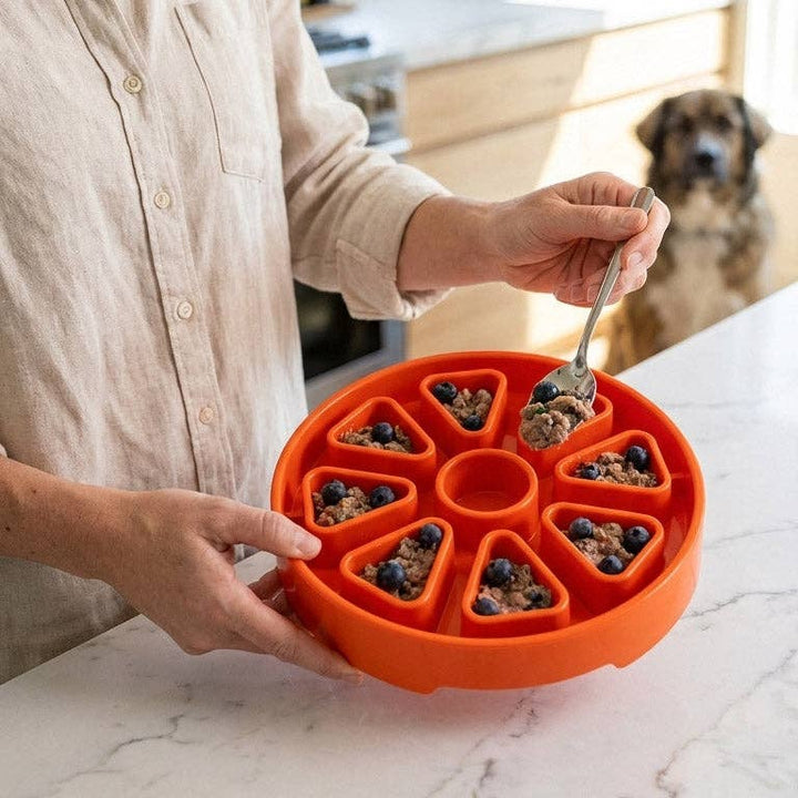 SodaPup Citrus Softie eTray Shallow Slow Feeder Dog Bowl