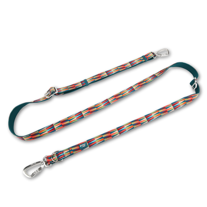 Twiggy Tags Multi-Way Lead