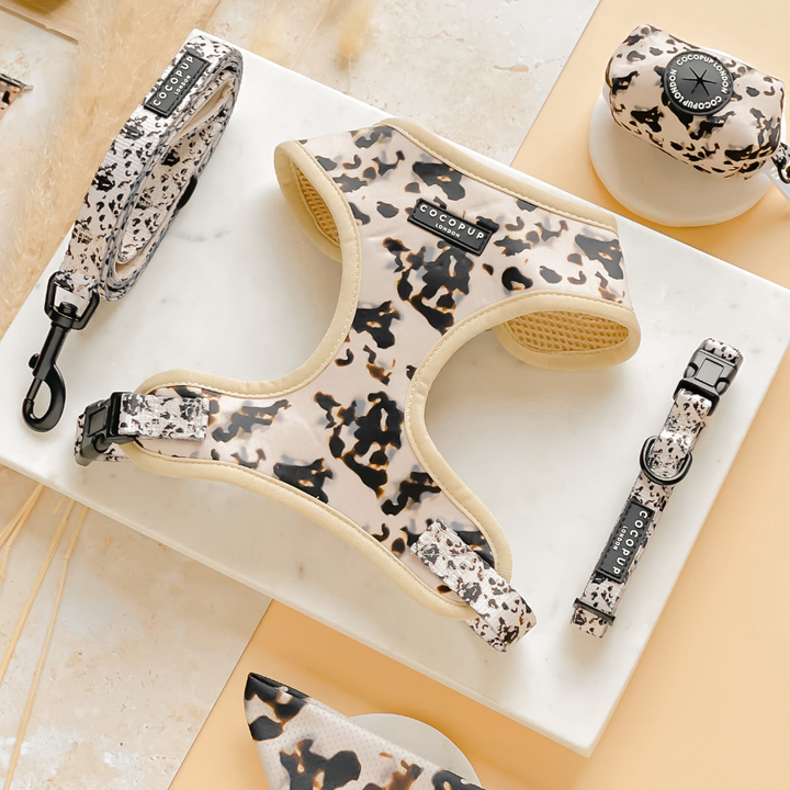 Cocopup Ivory Tort Collar