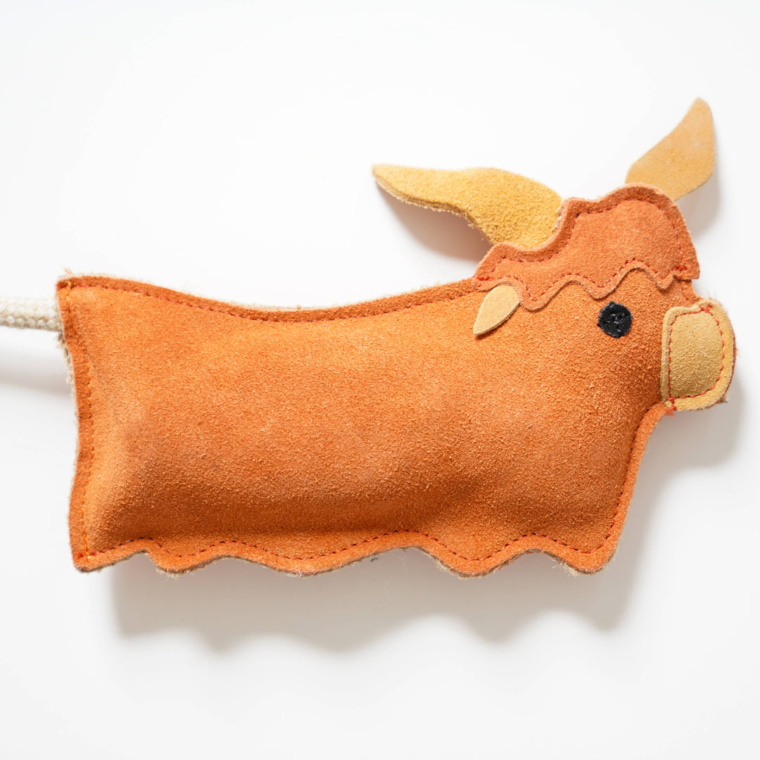 Hamish the Highland Cow shaped Eco Dog Toy