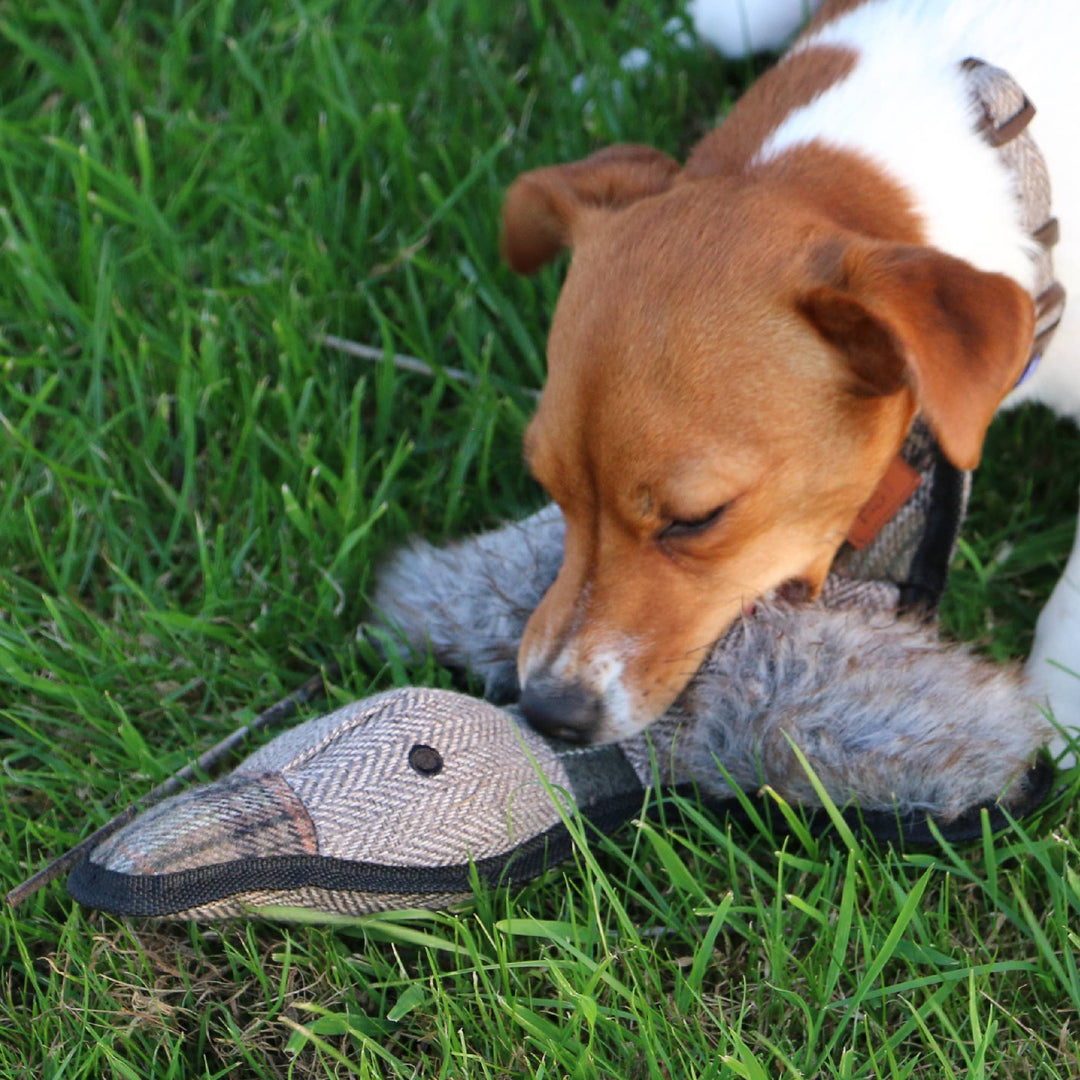 The Heritage Collection Tweed Duck