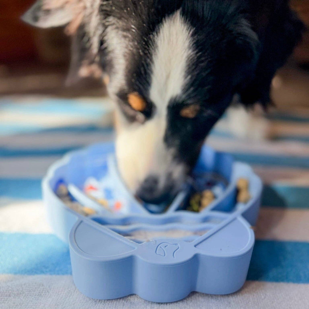 Pawsome Tails Seashell Slow Feeder Bowl (Mist)