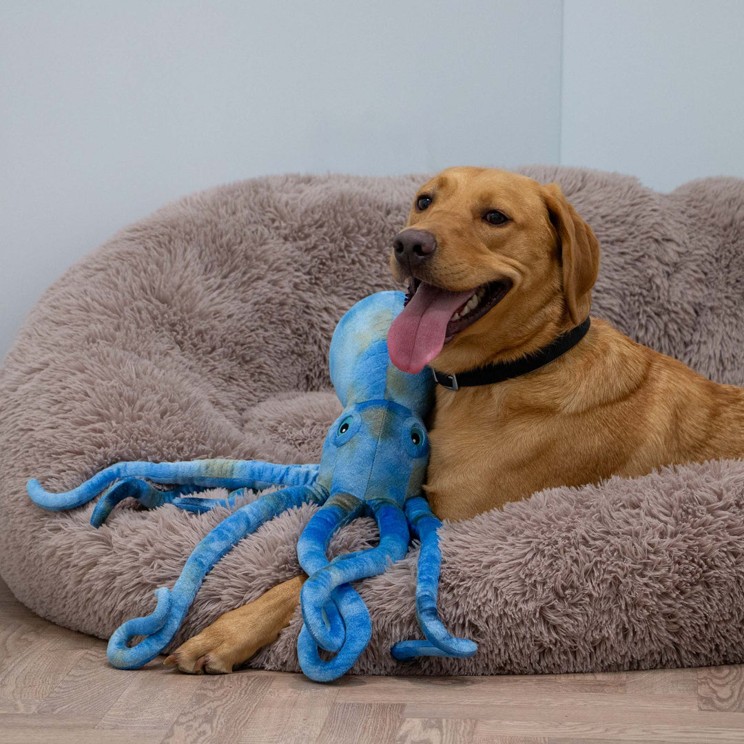 Phil The Kraken Supersized Toy