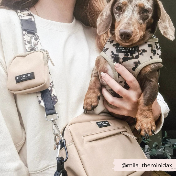 Cocopup Bag Strap - Ivory Tort
