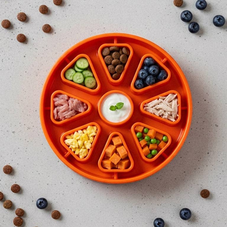 SodaPup Citrus Softie eTray Shallow Slow Feeder Dog Bowl