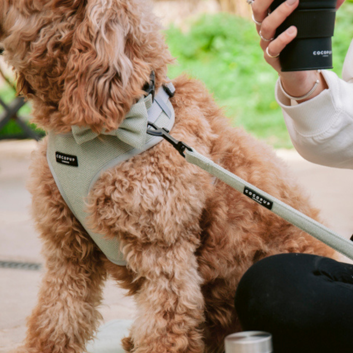 Sage Tweed Adjustable Neck Harness
