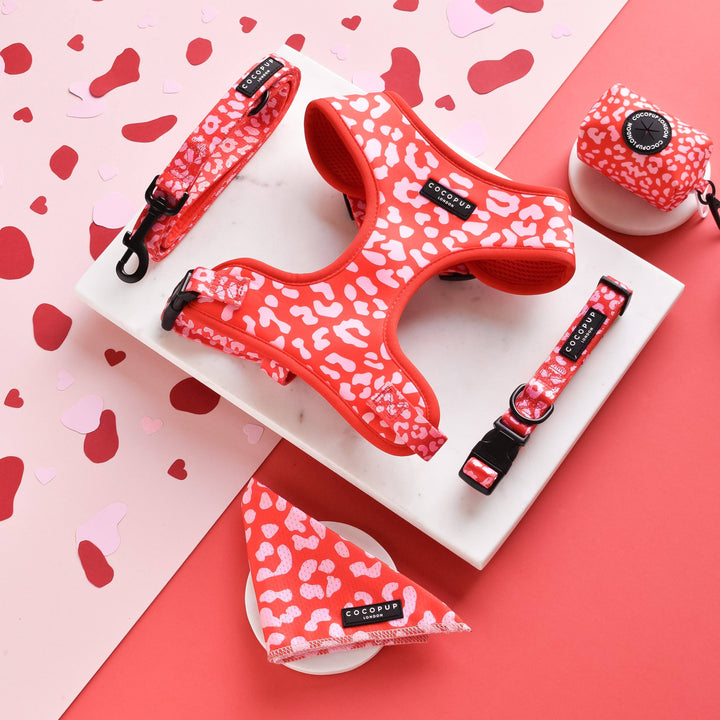 Cocopup Red & Pink Leopard Lead