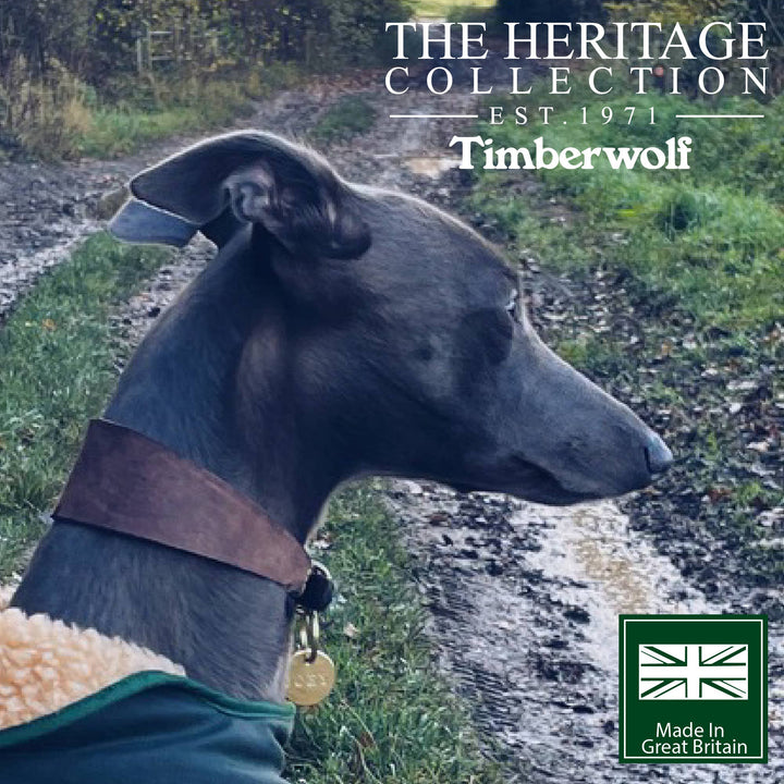 Timberwolf Hound Collar ( Size 34-43cm)