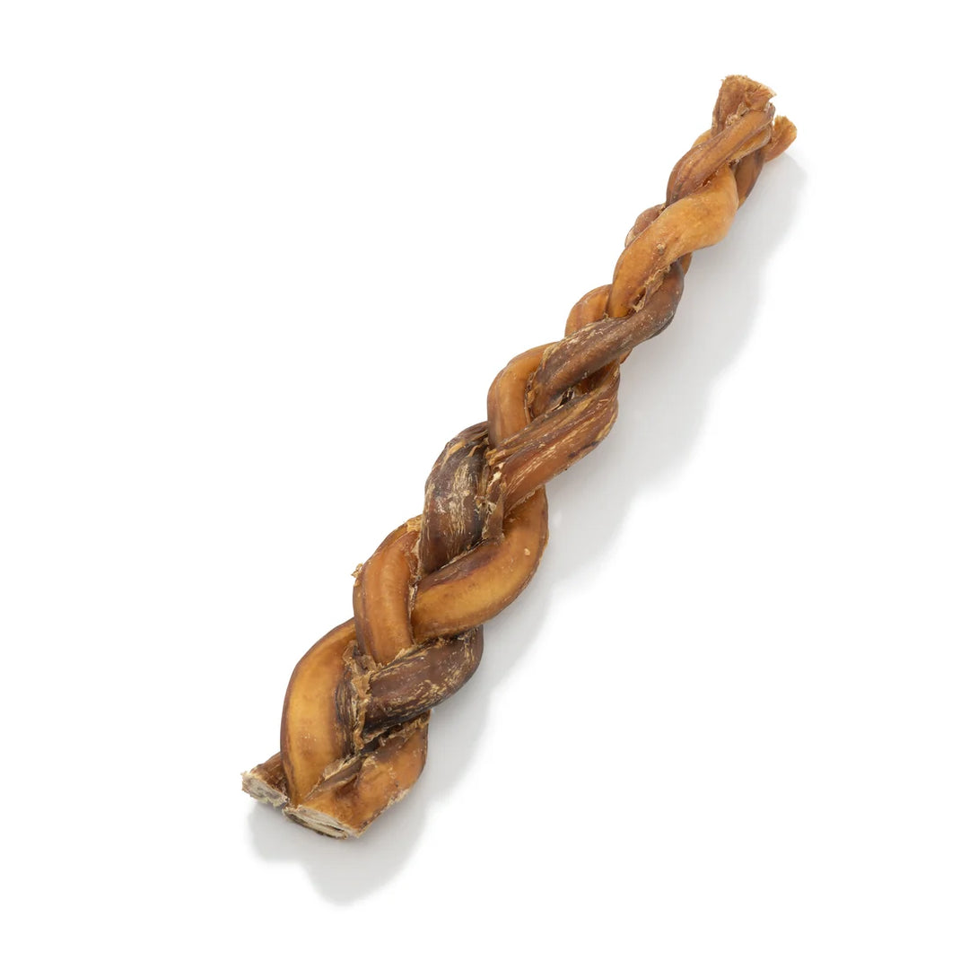 Braided Pizzle 24cm