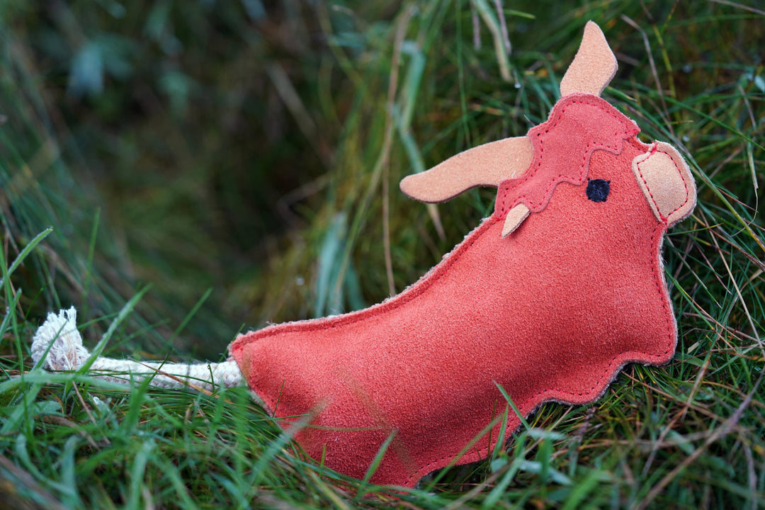 Hamish the Highland Cow shaped Eco Dog Toy