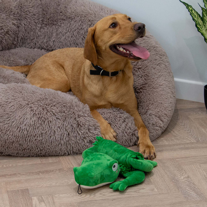 Örva Snuffle Croc Rollable Mat