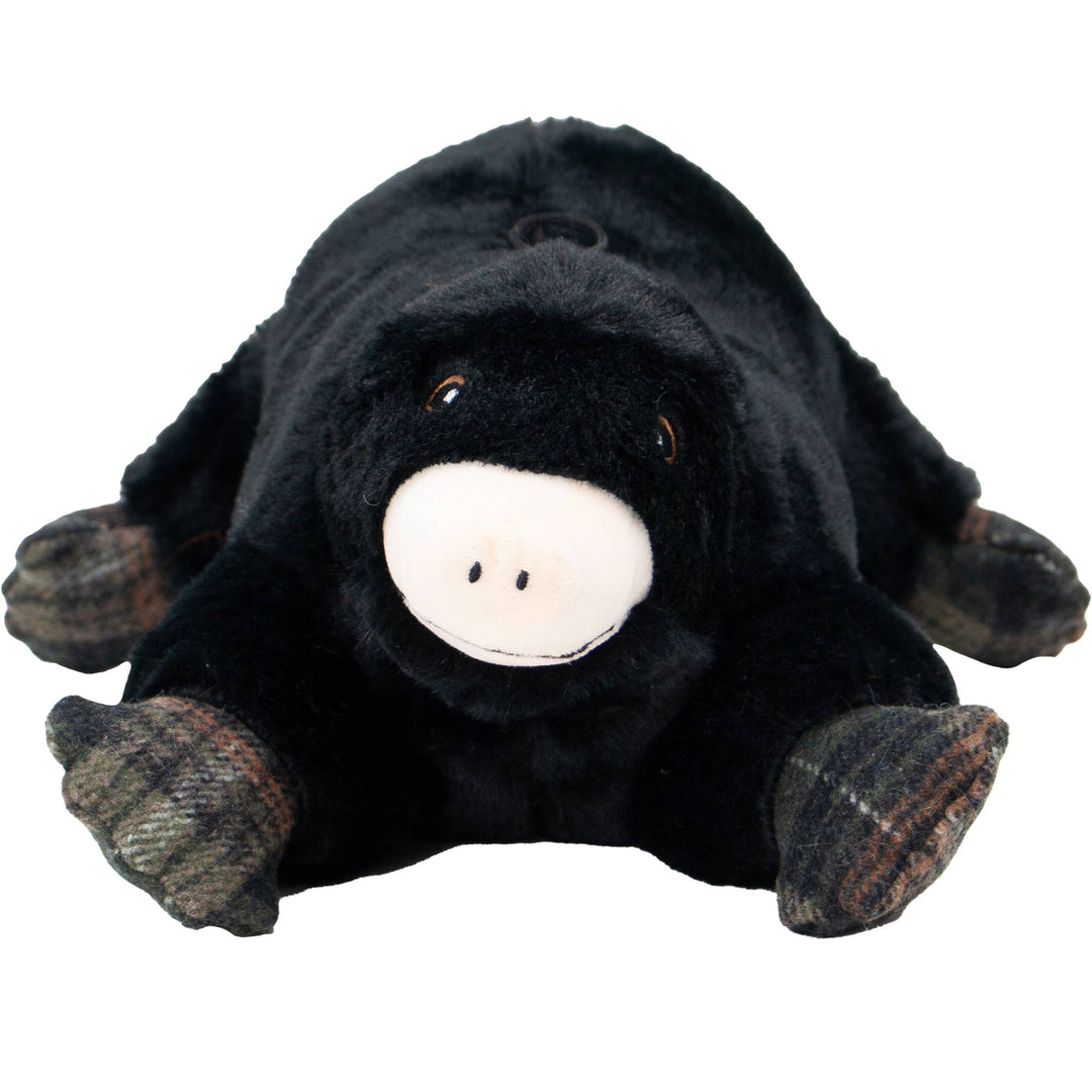 Montgomery Mole