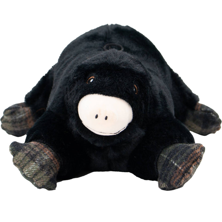 Montgomery Mole