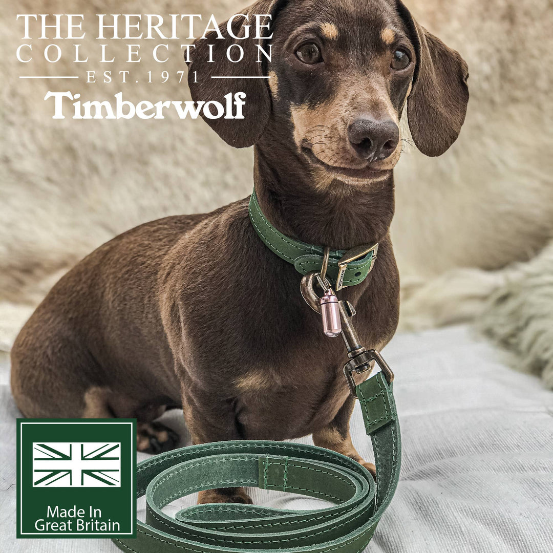 Timberwolf Leather Lead - various colours- 1m x 19mm