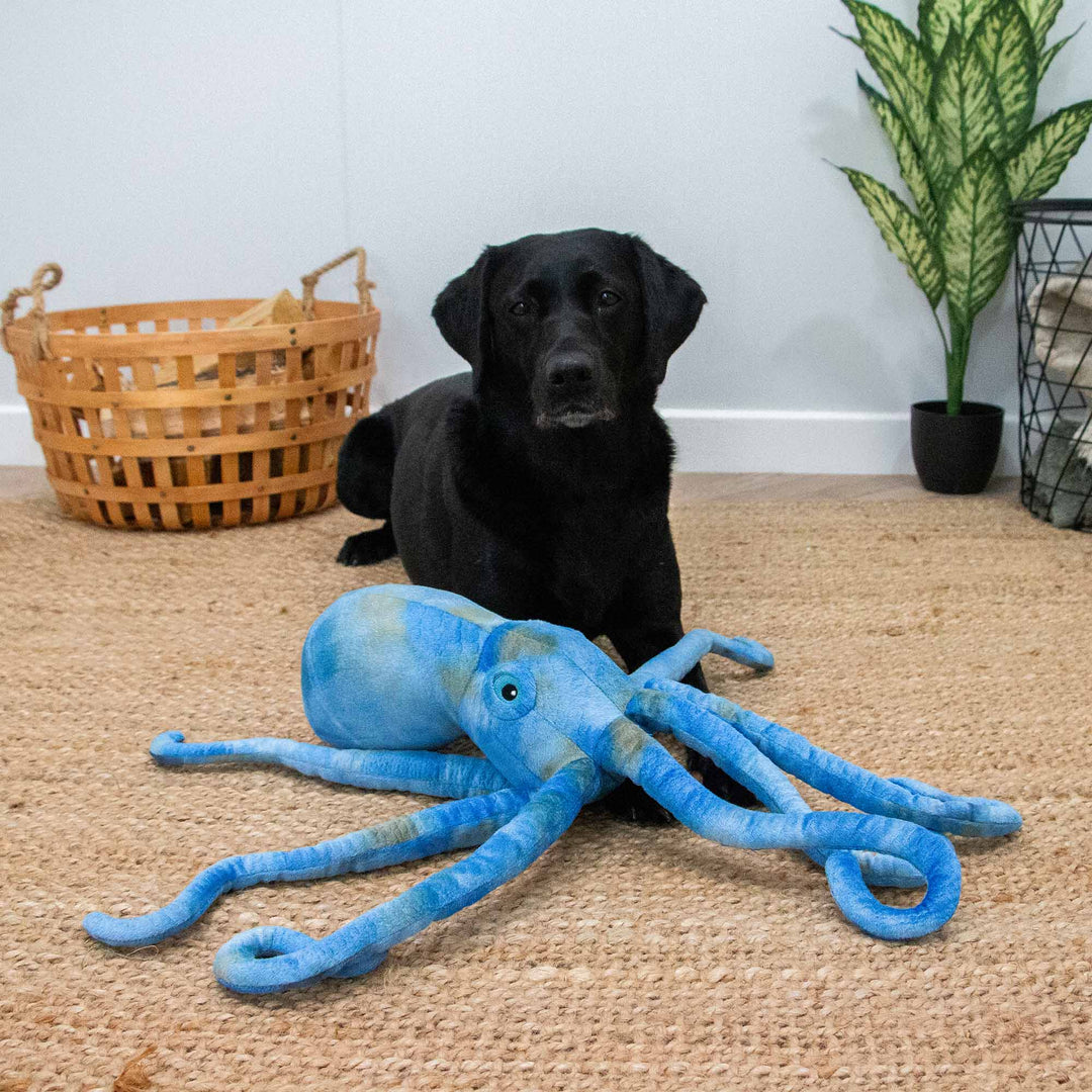 Phil The Kraken Supersized Toy