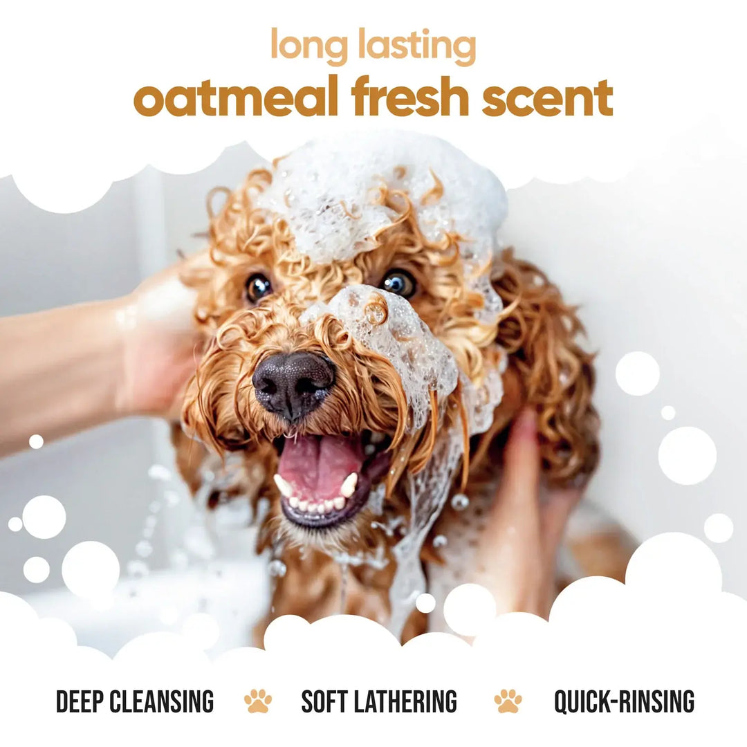 Buddycare Dog Shampoo - Oatmeal - 500ml / 16.9 fl oz