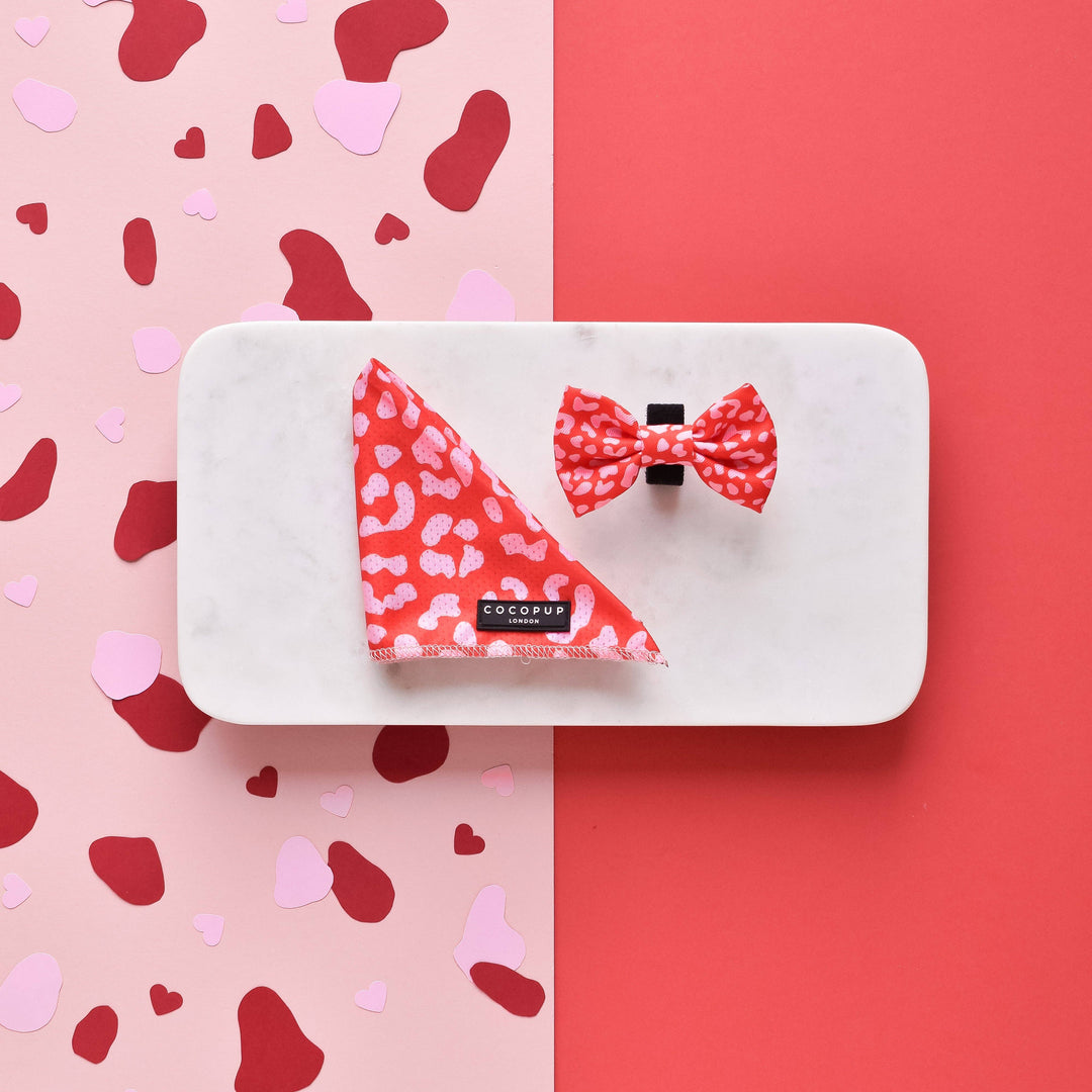 Cocopup Red & Pink Leopard Bow Tie