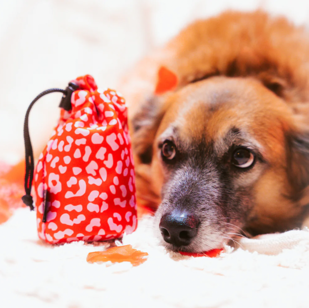 Cocopup Drawstring Treat Pouch - Red & Pink Leopard
