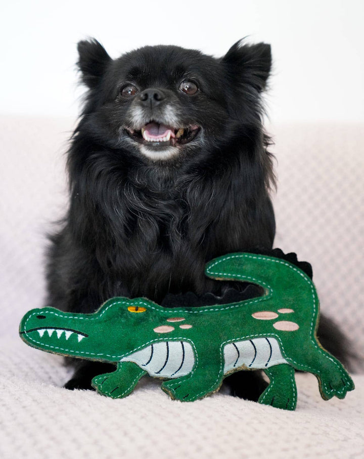 Aurora Paws Clive the Crocodile Eco Dog Toy
