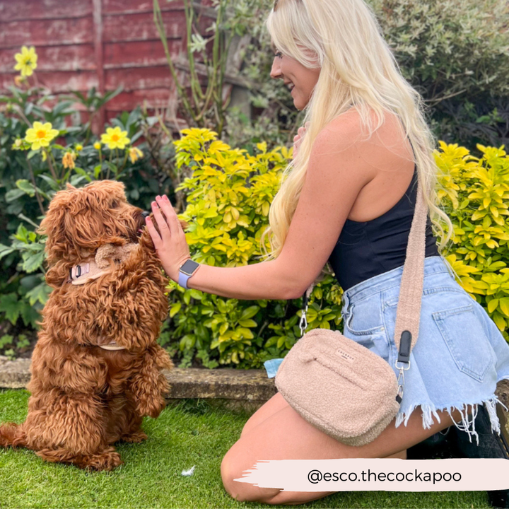 Cocopup Dog Walking Bag - Teddy Rupert