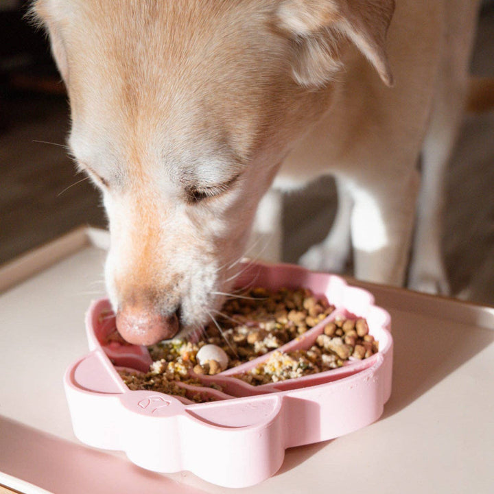 Pawsome Tails Seashell Slow Feeder Bowl (Petal)