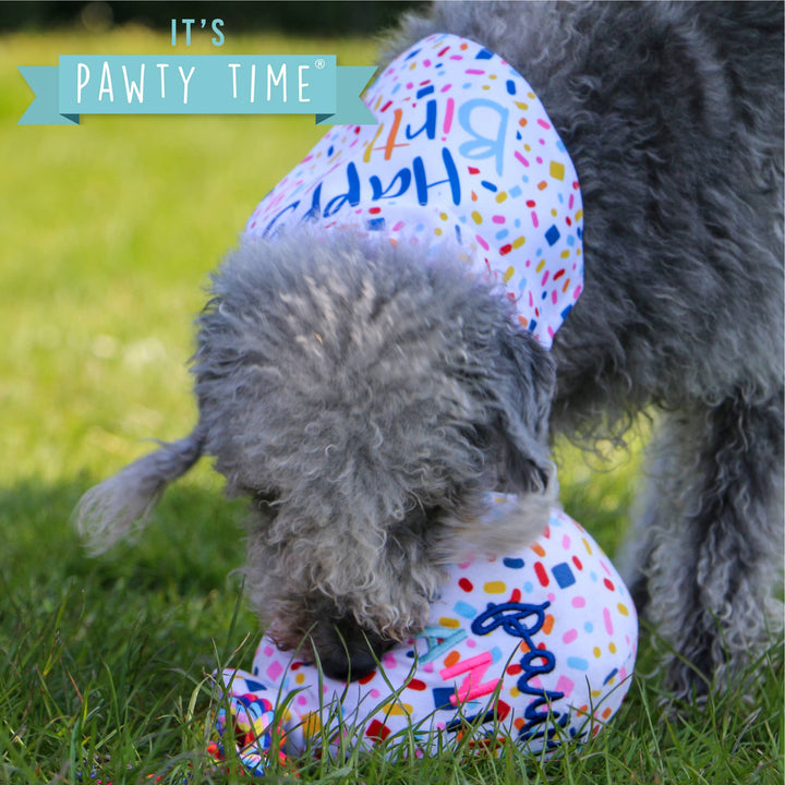 Pawty Time Balloon