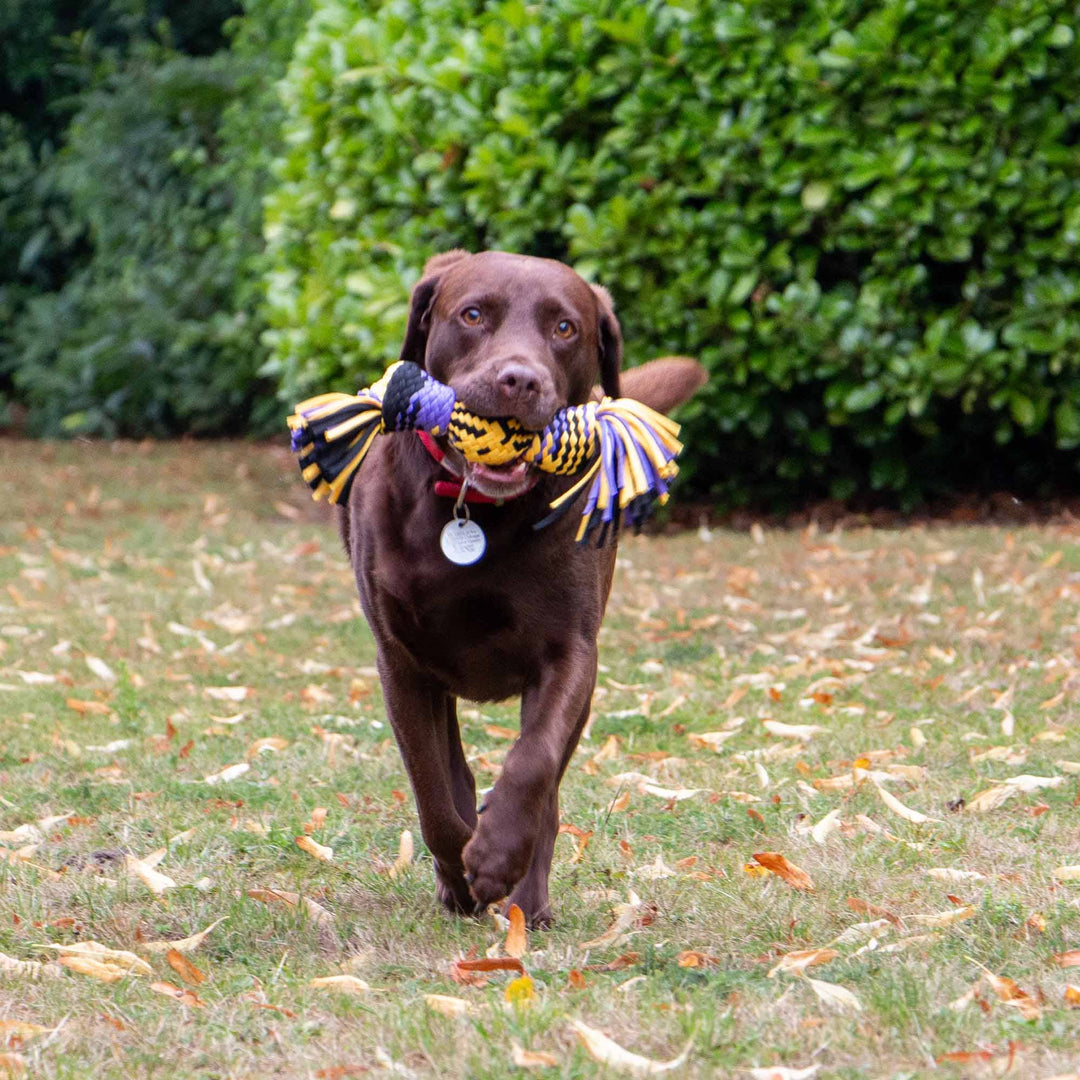 Play Time For Dogs Squeaky T-Shirt Rope Ball