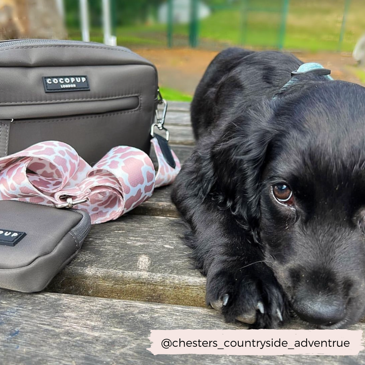 Cocopup Dog Walking Bag - Mocha
