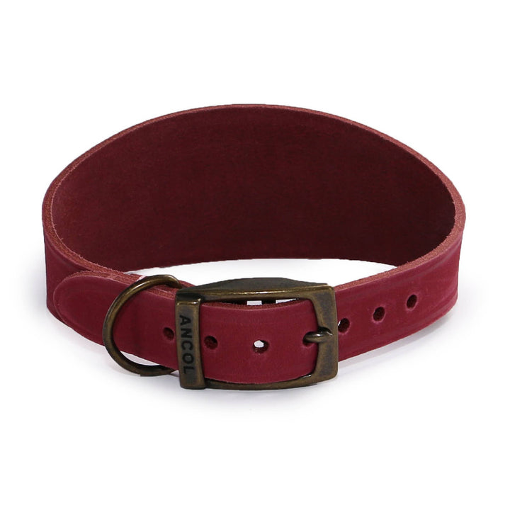 Timberwolf Hound Collar ( Size 34-43cm)