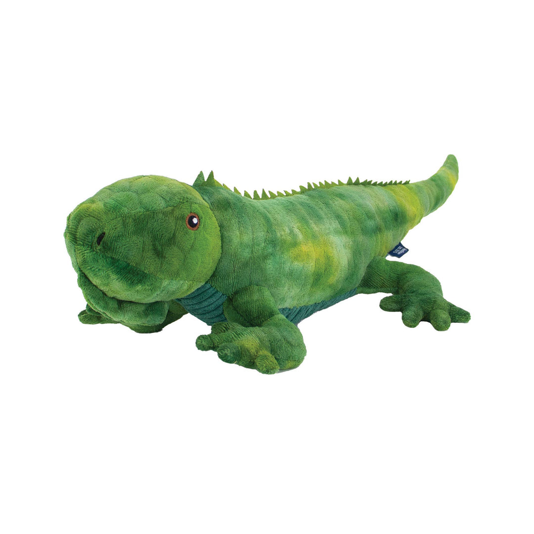 Cuddle Lizard