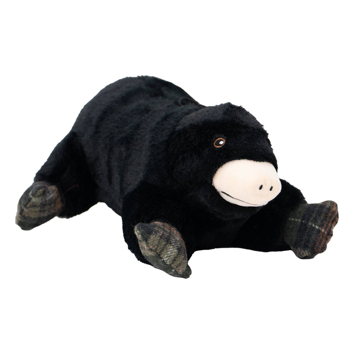 Montgomery Mole